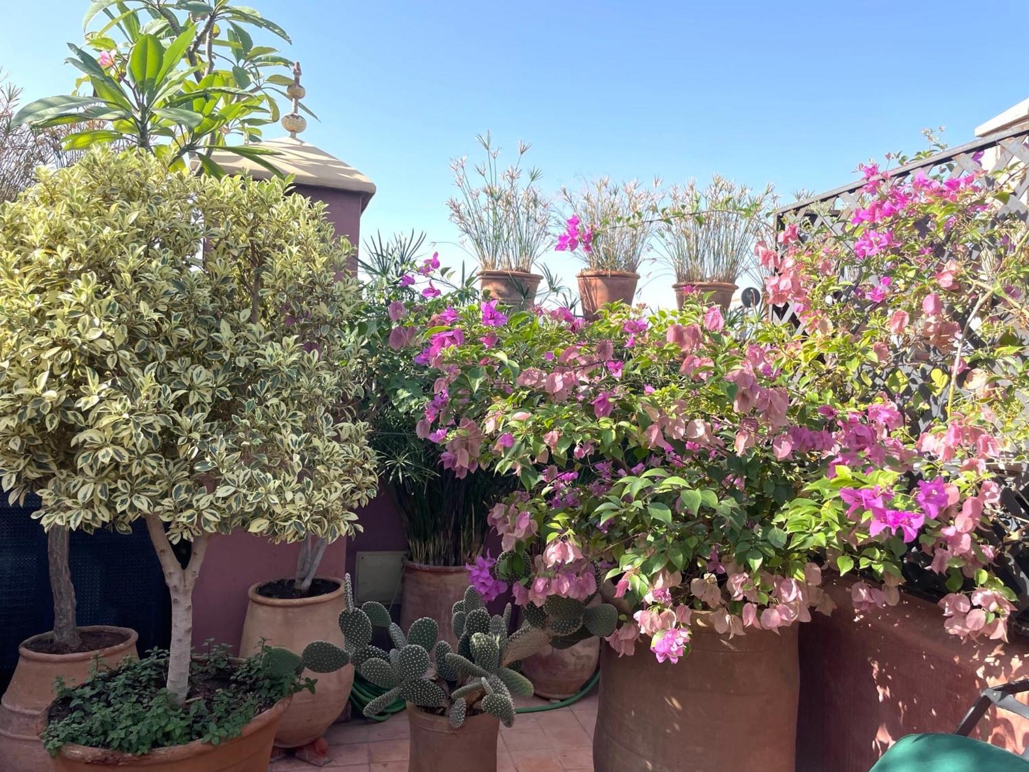 Riad Dar Al Assad Marrakesh Ngoại thất bức ảnh